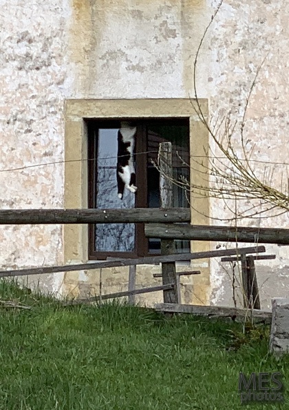 IMG_4510 8 - copie.jpg